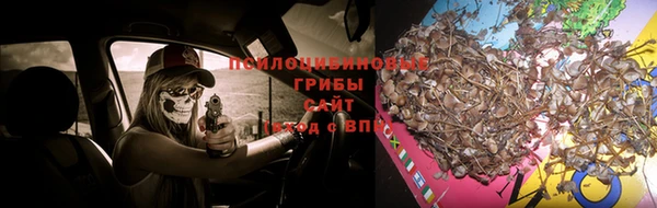 винт Абинск