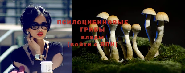 стаф Абаза