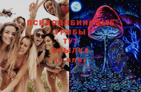 винт Абинск