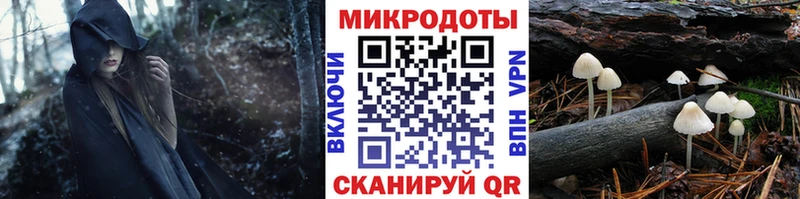 OMG ССЫЛКА  Воронеж  Галлюциногенные грибы Cubensis 