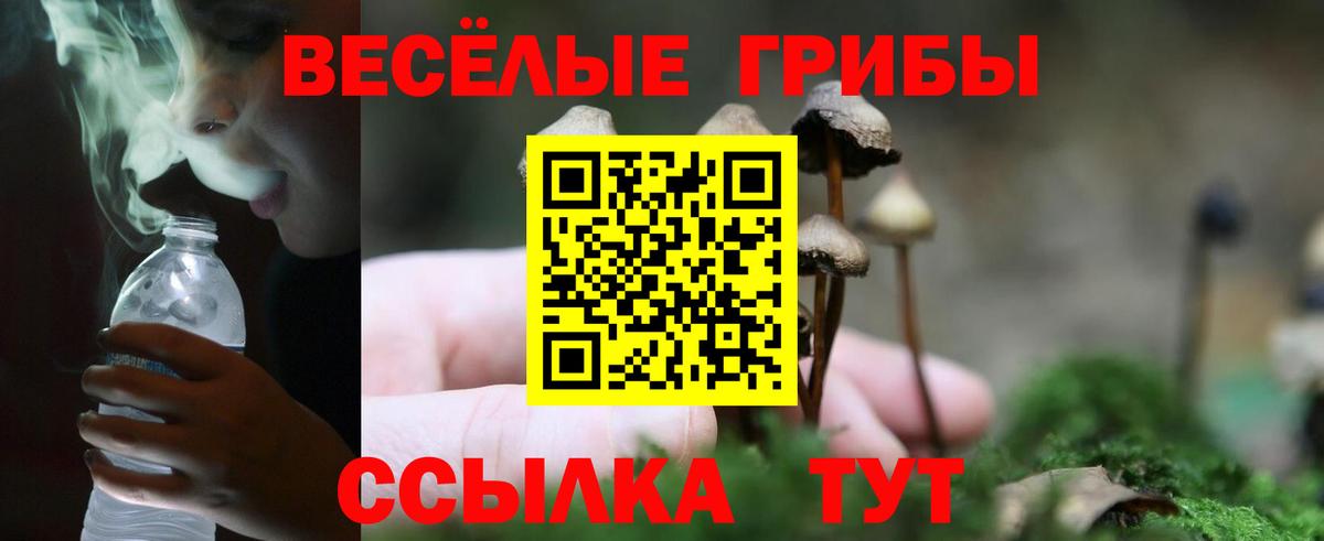 Галлюциногенные грибы мухоморы  Вход с VPN  Воронеж 